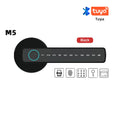 RAYKUBE M5 Smart Biometric Door Lock